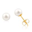 14ct Yellow Gold 6mm White Freshwater Pearl Stud Earrings Sale