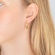 Silverfilled 9ct Yellow Gold Fancy Twist 15mm Hoop Earrings Online Hot Sale