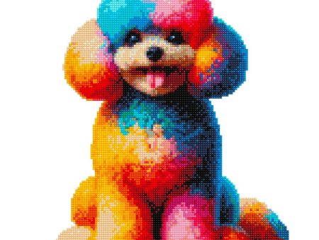 Toy Poodle Dog - Diamond Painting Kit Online Sale