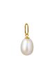 TOMEI [Online Exclusive] Minimalist Pearl Pendant, Yellow Gold 750 Cheap